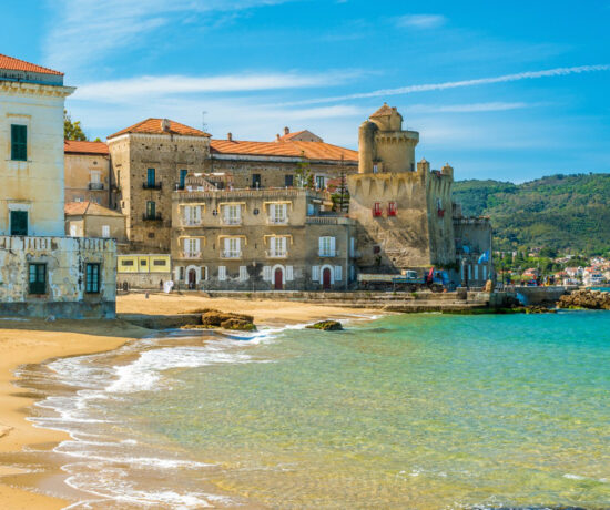 Yes I Want Listing Location Taxonomy Cilento 