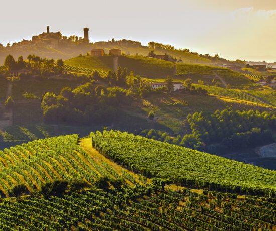 Yes I Want Listing Location Taxonomy Piemonte