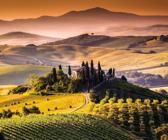 Yes I Want Listing Location Taxonomy Toscana