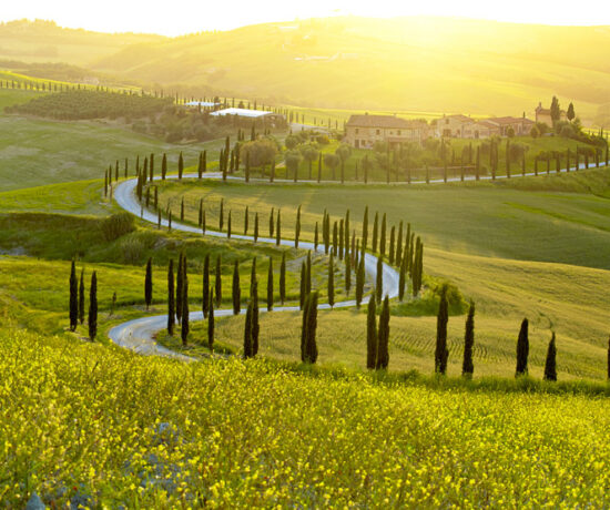 Yes I Want Listing Location Taxonomy Chianti