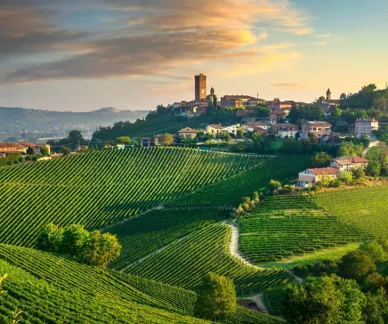 Yes I Want Listing Location Taxonomy Monferrato