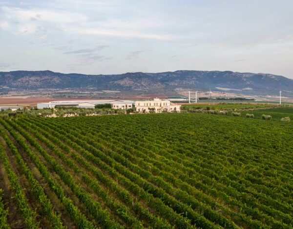 Puglia Wedding Listing Category Farmhouse Passalacqua