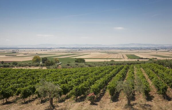 Farmhouse Passalacqua