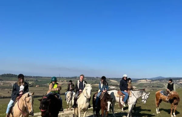 Azienda Agricola Toscani