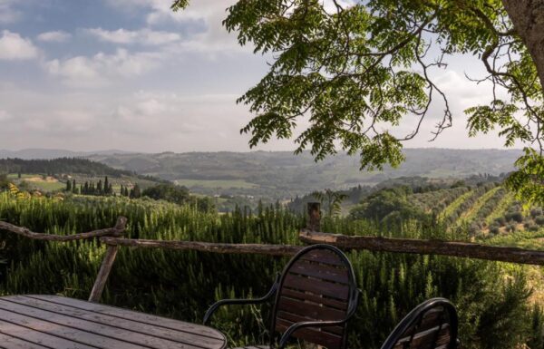 Tenuta Il Corno