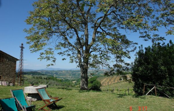 Tenuta Il Corno