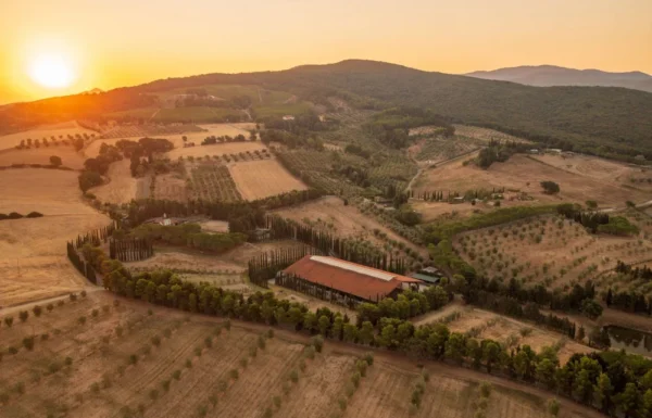 Azienda Agricola Toscani