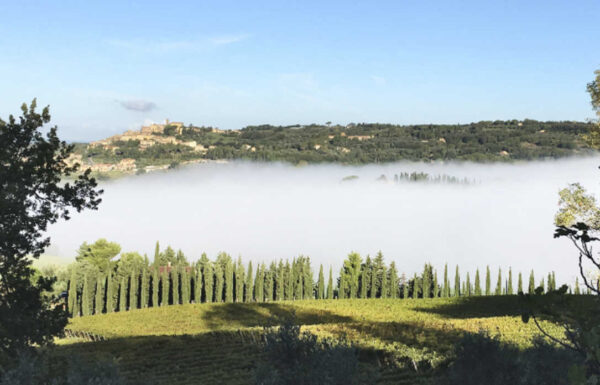 Azienda Agricola Toscani