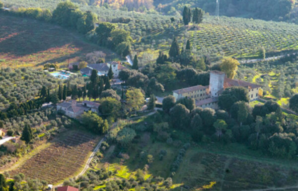 Tenuta Il Corno