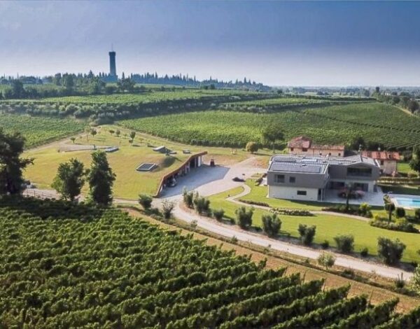 Receiving Categoria dell'elenco Azienda Agricola Toscani