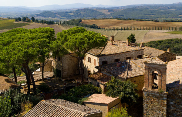 Camigliano Winery Gallery 2