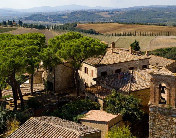 Cellar Listing Category Camigliano Winery