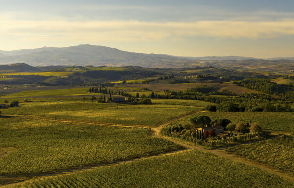 Camigliano Winery Gallery 0