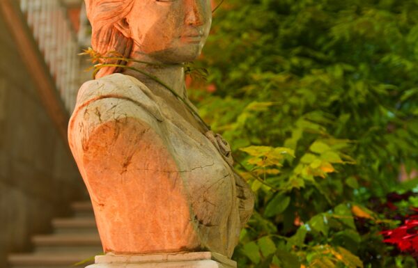 Villa Ciardi Gallery 23
