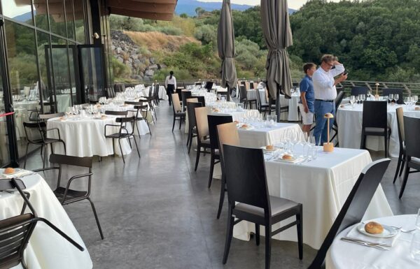 Cellar Category Vendor Gallery Cavanera Enta Resort