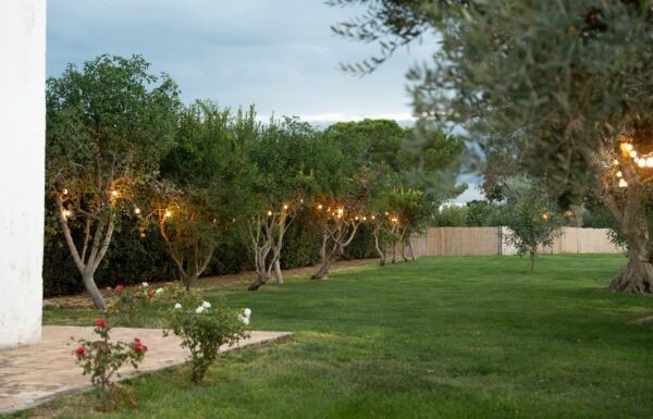 Tenuta Pinto Galleria 20