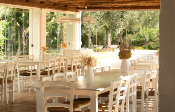 Tenuta Pinto Galleria 44