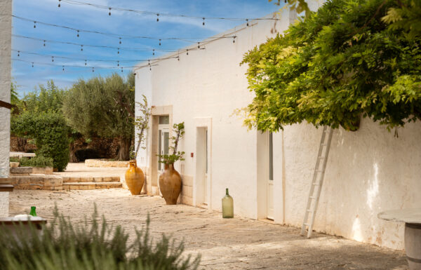 Tenuta Pinto Galleria 38