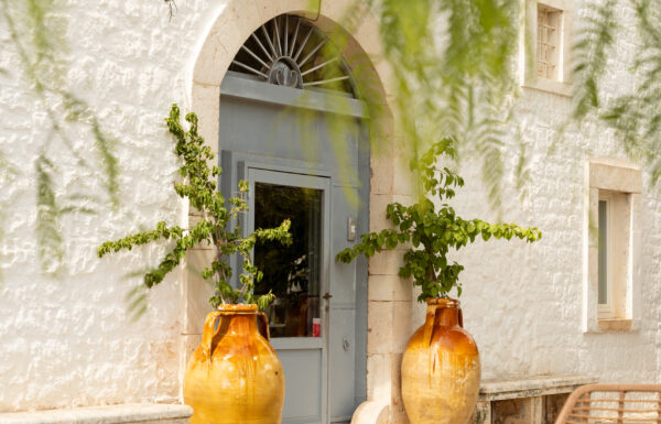 Tenuta Pinto Galleria 37