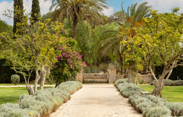 Tenuta Pinto Galleria 36