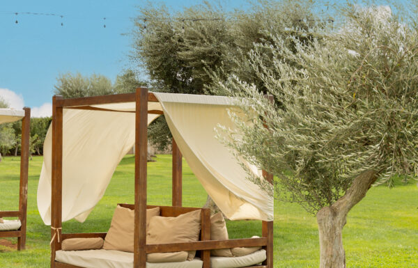 Tenuta Pinto Galleria 34