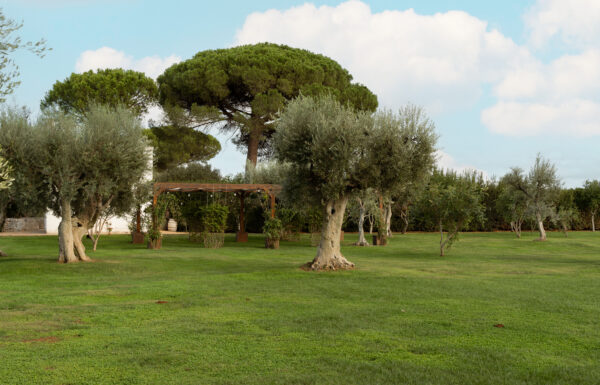 Tenuta Pinto Galleria 31