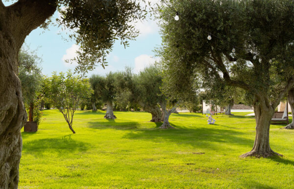 Tenuta Pinto Galleria 28