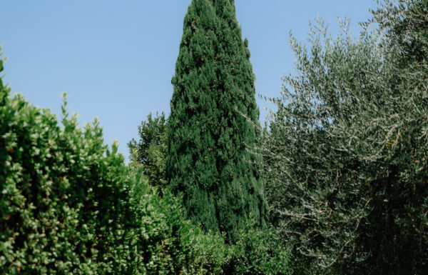 Castello Montignano Galleria 33