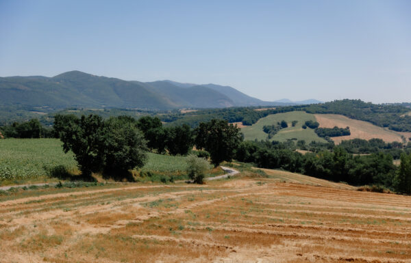 Castello Montignano Galleria 31