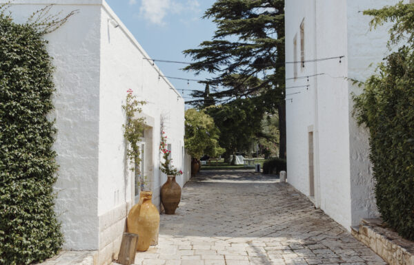 Tenuta Pinto Galleria 6