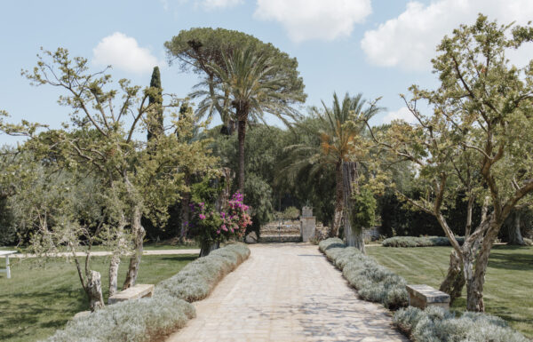 Tenuta Pinto Galleria 5