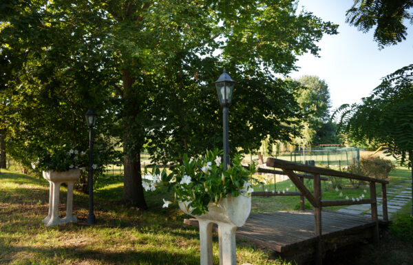 Tenuta dei Tulipani Gallery 8