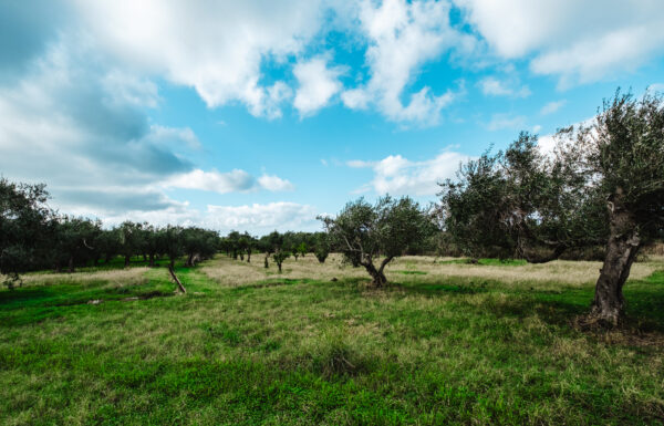 Tenuta Rasocolmo Galleria 18