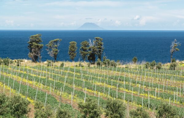 Tenuta Rasocolmo Galleria 4