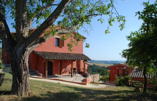Tenuta San Savino Delle Rocchette Galleria 24