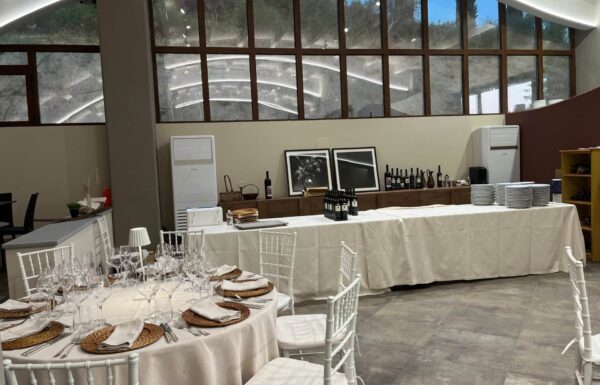 Villa la Ripa Winery & Wine Tasting Experience Gallery 1