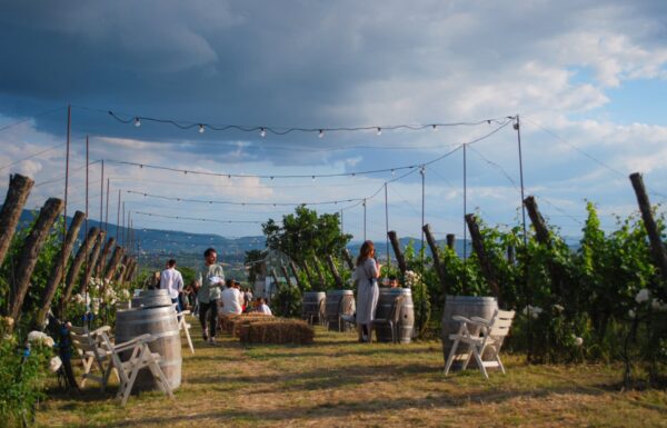 Villa la Ripa Winery & Wine Tasting Experience Gallery 6