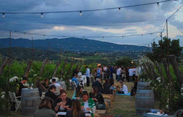 Villa la Ripa Winery & Wine Tasting Experience Gallery 9