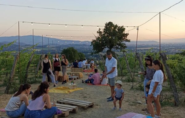 Villa la Ripa Winery & Wine Tasting Experience Gallery 15