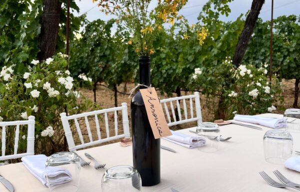 Villa la Ripa Winery & Wine Tasting Experience Gallery 10