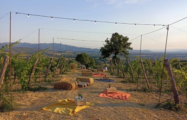 Villa la Ripa Winery & Wine Tasting Experience Gallery 14