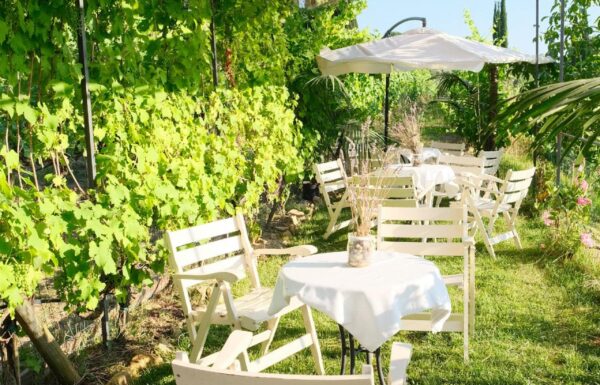 Villa la Ripa Winery & Wine Tasting Experience Gallery 29