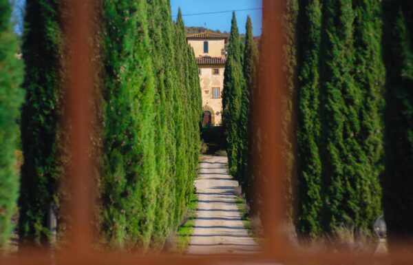 Villa la Ripa Winery & Wine Tasting Experience Gallery 40