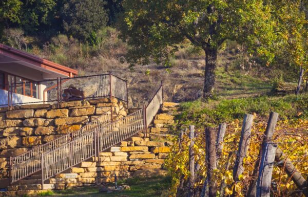 Villa la Ripa Winery & Wine Tasting Experience Gallery 41