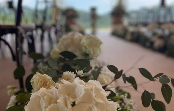 Hemanaire wedding flower Gallery 24