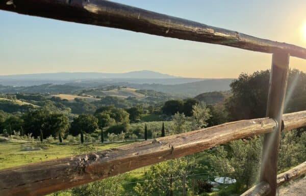 Tenuta San Savino Delle Rocchette Galleria 4