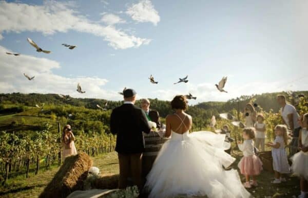 Hemanaire wedding in vigna Gallery 30