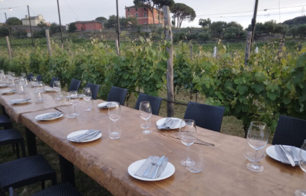 La Casa degli Abissi  Bisson Vini