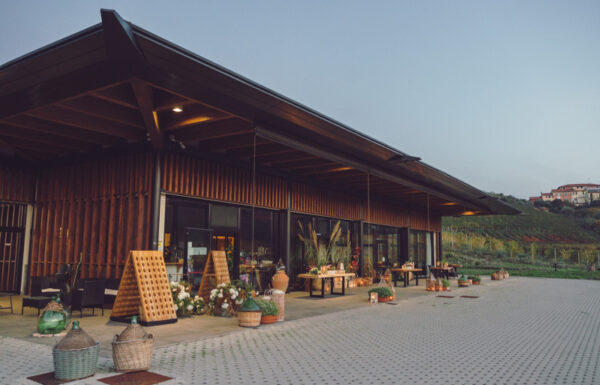 La Casa degli Abissi  Bisson Vini