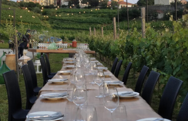 La Casa degli Abissi  Bisson Vini